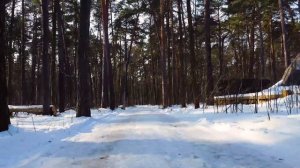 Вили Улей Ока - новая локация недалеко от Москвы