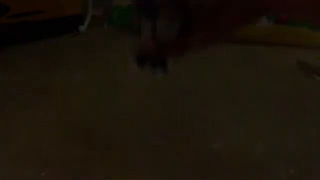 LPS music video так устроен этот мир