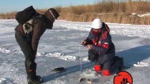 Ловля окуня и щуки зимой