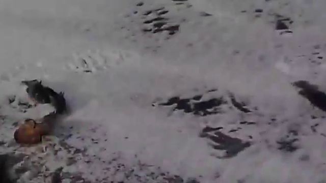 Первый лед ротан
