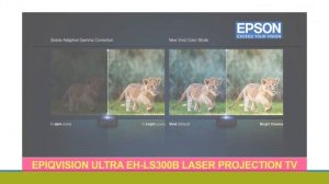 Epson EpiqVision Ultra EH-LS300B Laser Projection TV Specifications
