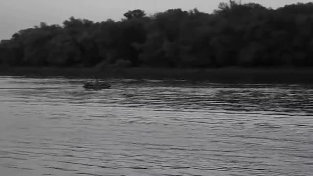 sea pro t5s и лодка bark bt290s смотреть онлайн