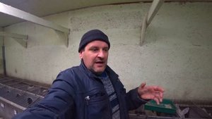 МЕРЗНУТ КРОЛЬЧАТА В ГНЕЗДЕ!