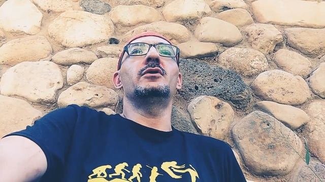 Гепард - не только самый быстрый, но и самый выносливый среди кошачьих | Гепард против волка