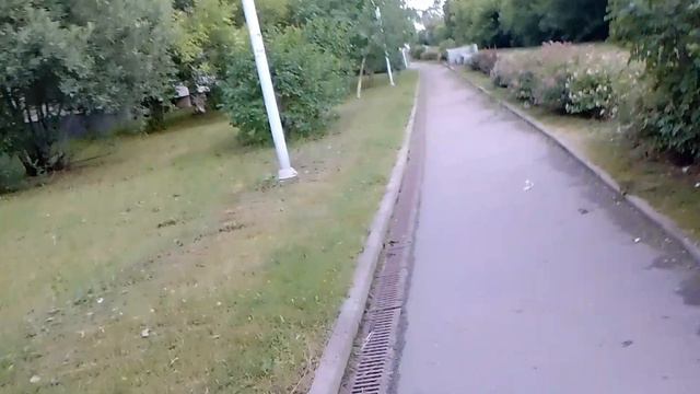 Творческая Рыба