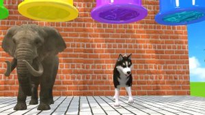 Long Slide Game With Elephant Gorilla Duck Tiger Dog Lion | 3d Animal Game