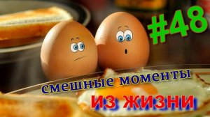 лучшие приколы #48 / смешные видео / нарезка приколов