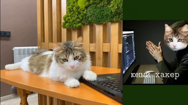 meme от подписчиков а нука давай-ка часть 4