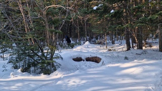 12.01.2023 г.Хабаровский край.Советская Гавань.Лесозавод 20 Местный лес( была лыжня) смотреть онлайн