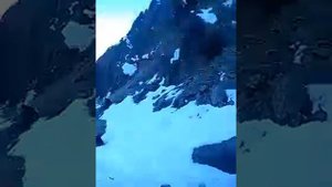 Охота на тура в Дагестане