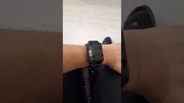 Распаковка электронный ошейник L-880-2 для дрессировки собак..mp4