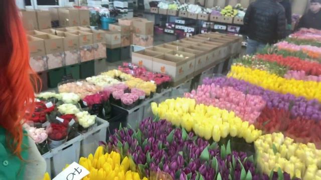 КРАСНОДАР цветы к 8 марта. Сколько стоит купить Тюльпаны в Краснодарском крае? Опт.Цветочный рынок.