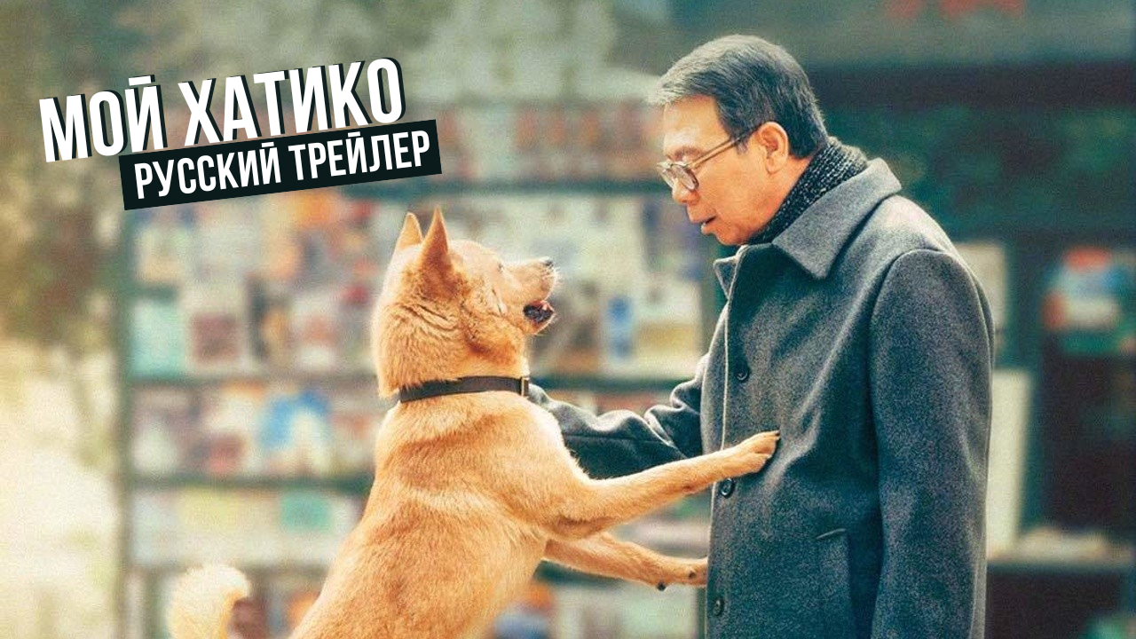 Мой хатико