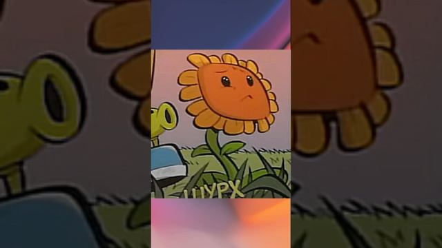 Самые интересные факты про Подсолнух из PvZ #shorts #fyp #fypシ #pvz #растения #подсолнух #факты смотреть онлайн