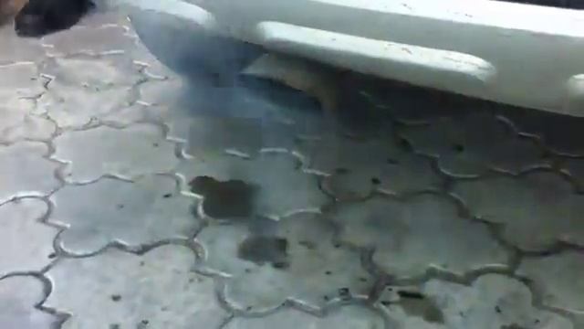 Skoda Yeti, 2012 год, 1.2 TSI. смотреть онлайн