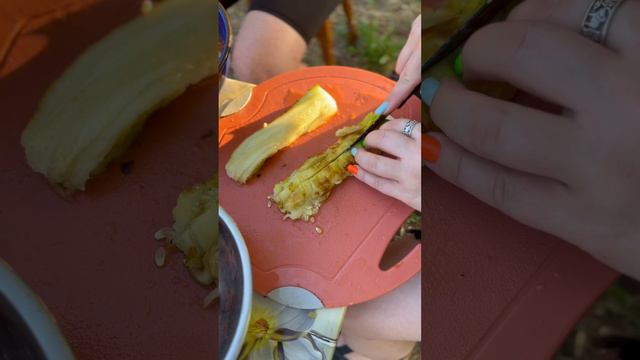 Аджапсандал - холодный салат из запеченных овощей смотреть онлайн