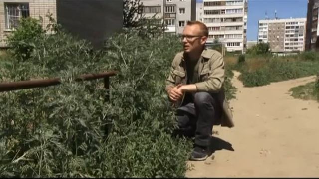 Улицы столицы — ул. Балтийская (16+) смотреть онлайн