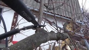 Fiskars PowerGear Сучкорез в работе