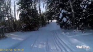 Ездили в лес! / покатушки на буранах