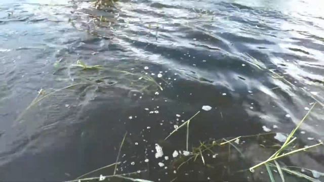 Где мои 16 лет? В сердце!)) смотреть онлайн