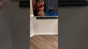 Обзор JBL Bar 5.1