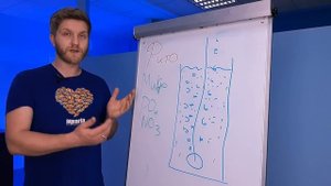 Фито культура. Выращиваем корм для кораллов.  Нанохлоропсис (Nannochloropsis)