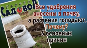Все удобрения внесены в почву, а растения голодают. Почему? 6 основных причин