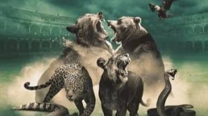 1 Гладиаторы Водопой / The Waterhole