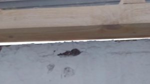 ПАРАПЕТ Для ОСТЕКЛЕНИЯ Балкона ИЛИ Лоджии - Parapet for balcony or loggia