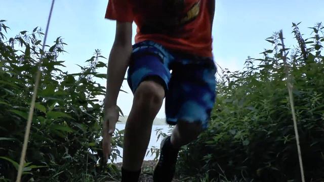 Видели день, весь день гуляли до вечера смотреть онлайн