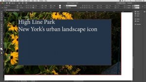 Adobe InDesign Tutorial for Beginners