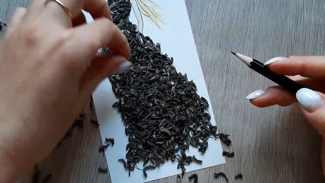 Иллюстрация + DIY Чечевица ракушки скрепки смотреть онлайн