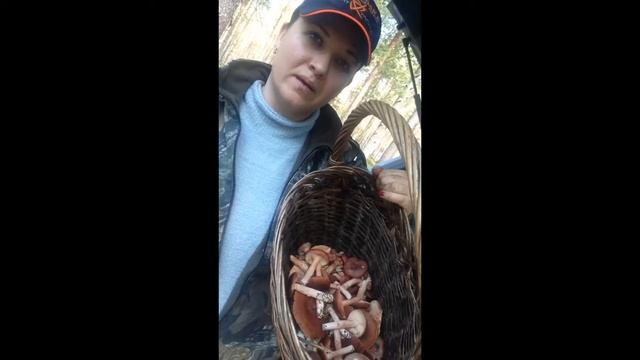 Горькушки . Сезон 2017 .