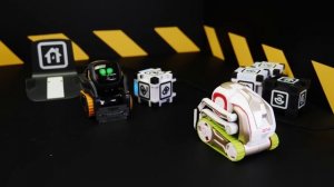 ЧТО ЕСЛИ РОБОТ ANKI COZMO И ANKI VECTOR УВИДЯТ ДРУГ ДРУГА? ДВА ИСКУССТВЕННЫХ ИНТЕЛЛЕКТА VS ПАЛОЧНИК
