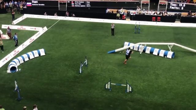Станислав Курочкин. Чемпион Мира по Аджилити 2019 года