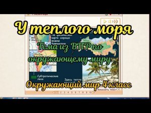 У теплого моря