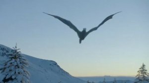 Дейенерис и Джон летают на драконах