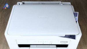 Сравнение Epson PX-045A и HP DeskJet 3635