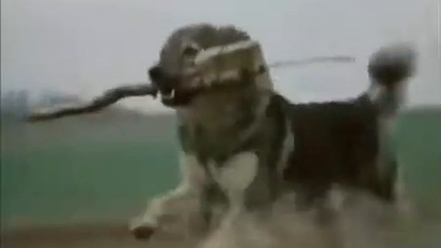 думай прежде чем сделать...