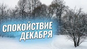 Спокойствие декабря