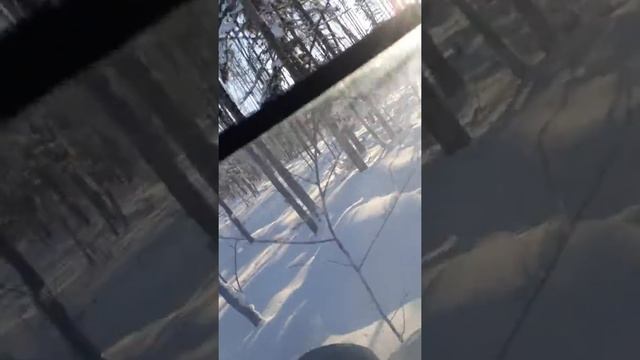 Буран АД на пяти катках смотреть онлайн