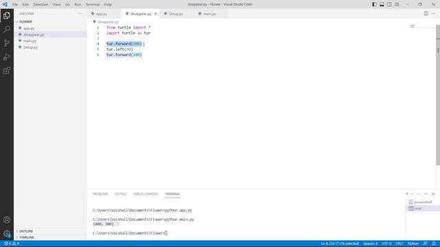 How to create window in Python Turtle | Python Turtle Window