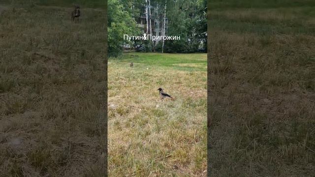 #безфильтров