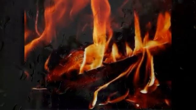 Поветлужье.Осенние цветы.
