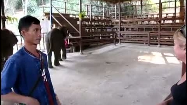 Таиланд.Поездка на реку Квай.январь-2011г. смотреть онлайн