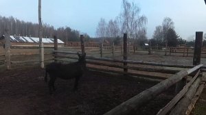 ДАЧНЫЙ КЛУБ "КОПРИНО "выходные всей семьей