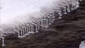 Вероника Тушнова--Раскаяние.