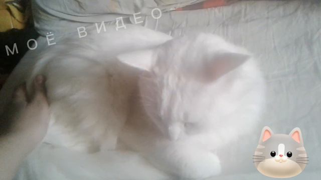 Добрый день от СНЕЖКА смотреть онлайн