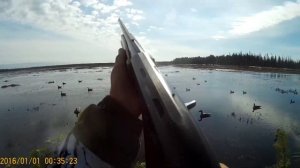 Охота на севере 2019