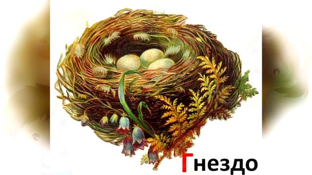 ЗАГАДКИ ДЛЯ ДЕТЕЙ С ОТВЕТАМИ